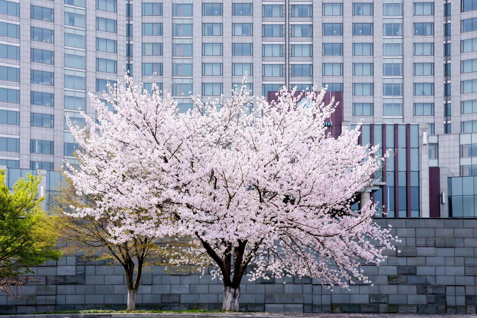 Kempinski Hotel Suzhou Suzhou  Luaran gambar